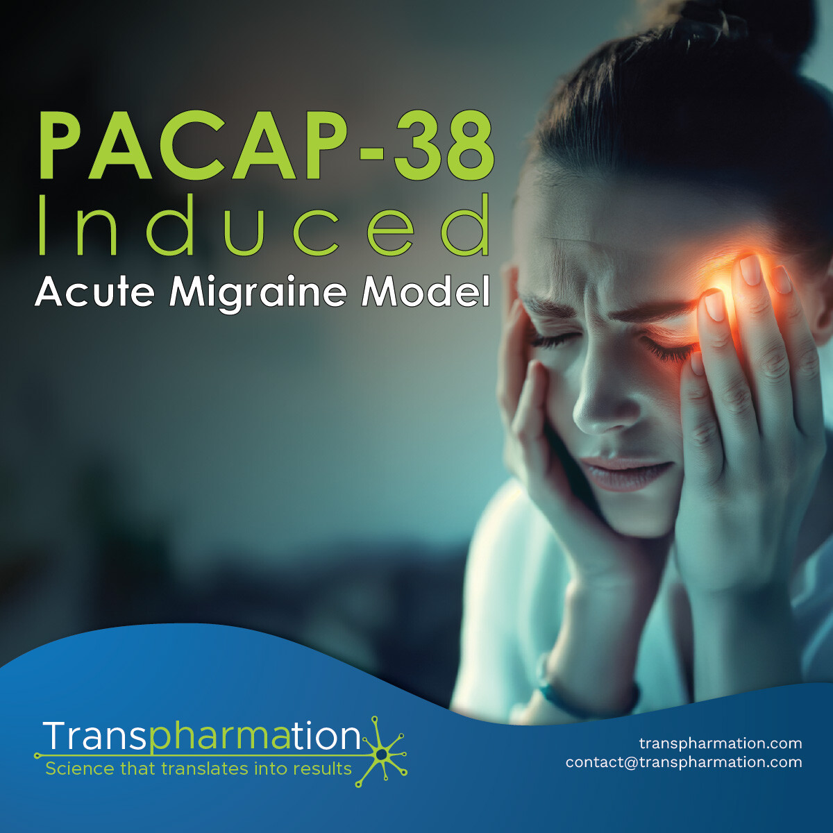 PACAP-38 Acute Migraine Model